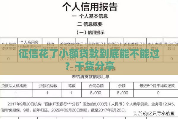 征信花了小额贷款到底能不能过？干货分享