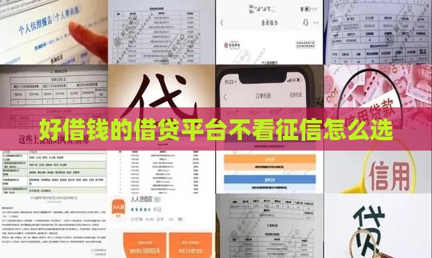 好借钱的借贷平台不看征信怎么选