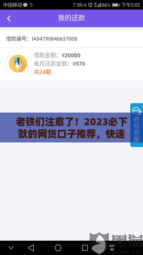 老铁们注意了！2023必下款的网贷口子推荐，快速到账不踩雷