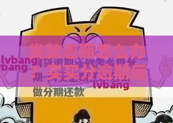 贷款逾期怎么办？买买分逾期后的补救攻略