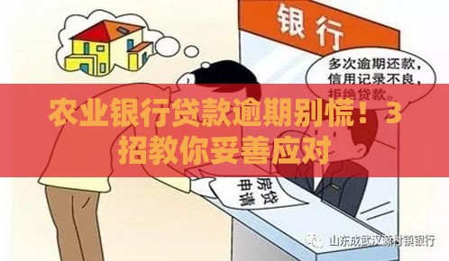 农业银行贷款逾期别慌！3招教你妥善应对