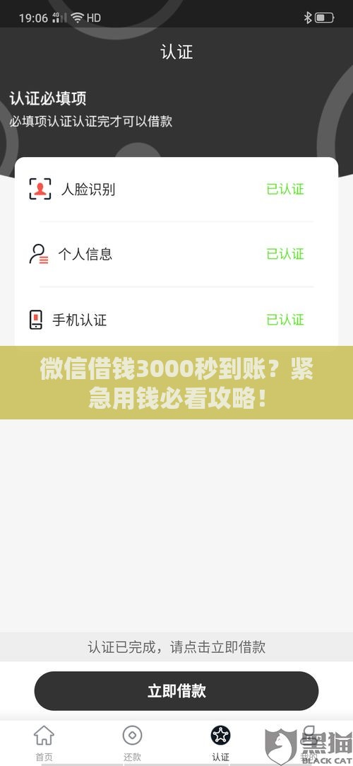 微信借钱3000秒到账？紧急用钱必看攻略！