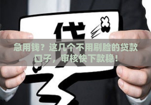 急用钱？这几个不用刷脸的贷款口子，审核快下款稳！