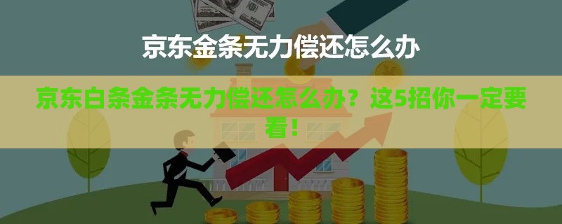 京东白条金条无力偿还怎么办？这5招你一定要看！