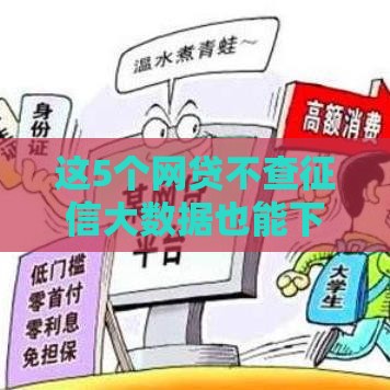 这5个网贷不查征信大数据也能下款