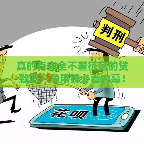 真的有完全不看征信的贷款吗？急用钱必看内幕！