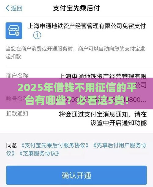 2025年借钱不用征信的平台有哪些？必看这5类！