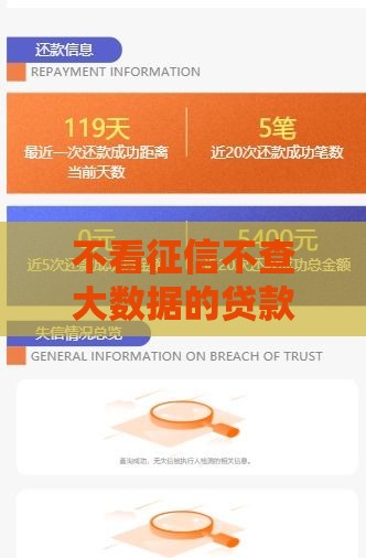 不看征信不查大数据的贷款渠道存在吗？