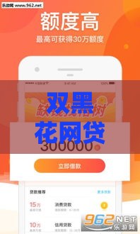 双黑花网贷放水口子魔的真相：避坑指南与实用借款攻略