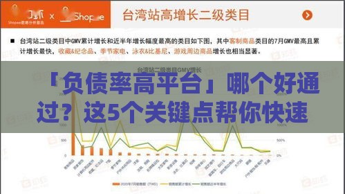 「负债率高平台」哪个好通过？这5个关键点帮你快速匹配！