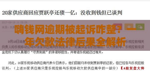 嗨钱网逾期被起诉咋整？一年欠款法律后果全解析