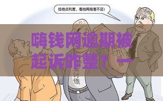 嗨钱网逾期被起诉咋整？一年欠款法律后果全解析