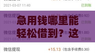 急用钱哪里能轻松借到？这5类低门槛高下款率平台总有一款适合你！
