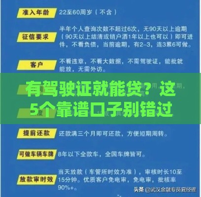 有驾驶证就能贷？这5个靠谱口子别错过！实用攻略速看