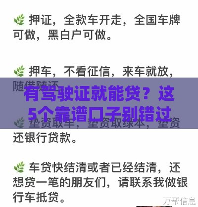 有驾驶证就能贷？这5个靠谱口子别错过！实用攻略速看