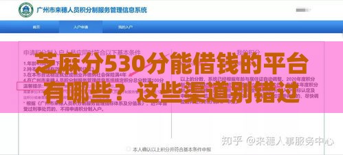 芝麻分530分能借钱的平台有哪些？这些渠道别错过