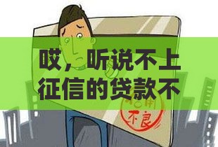 哎,听说不上征信的贷款不还也没事?别天真了! 哎,听说不上征信的贷款不还也没事?别天真了!
