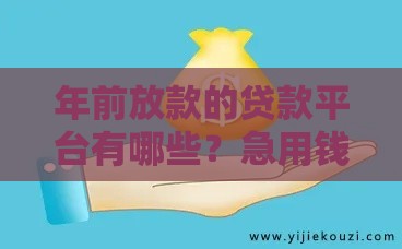 年前放款的贷款平台有哪些？急用钱必看这5家快速到账渠道！