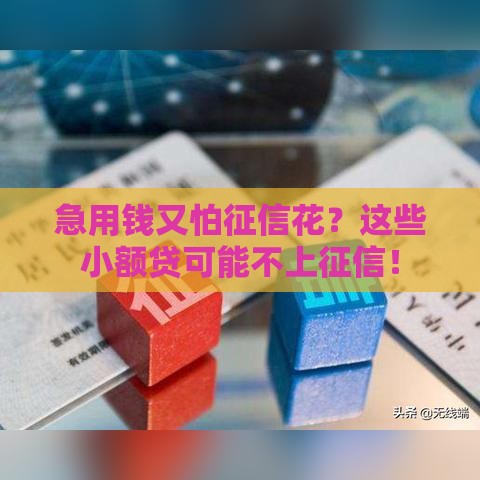 急用钱又怕征信花？这些小额贷可能不上征信！