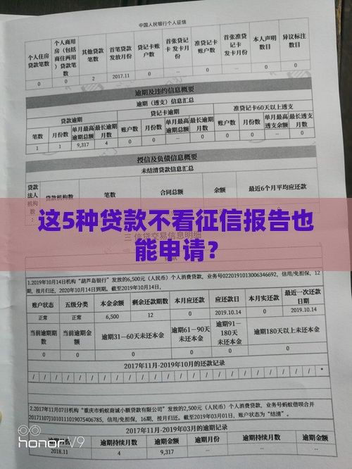 这5种贷款不看征信报告也能申请？