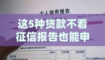 这5种贷款不看征信报告也能申请？