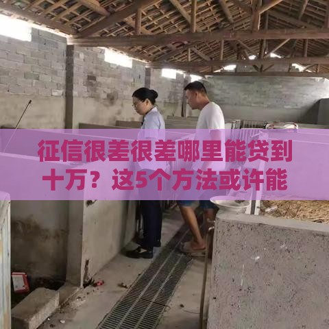 征信很差很差哪里能贷到十万？这5个方法或许能救急