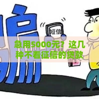 急用5000元？这几种不看征信的贷款方式或许能救急