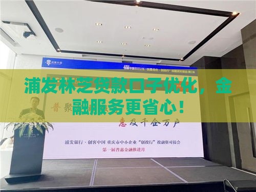 浦发林芝贷款口子优化，金融服务更省心！