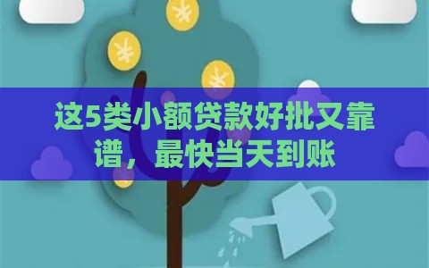 这5类小额贷款好批又靠谱，最快当天到账