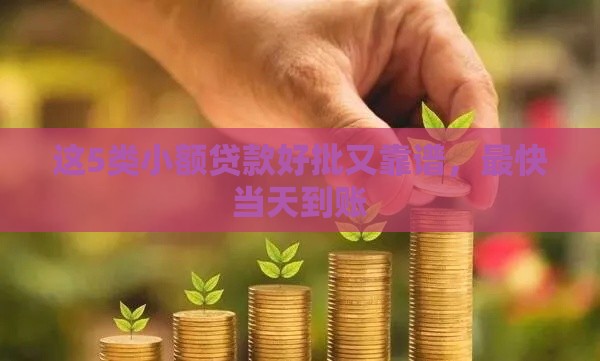 这5类小额贷款好批又靠谱，最快当天到账