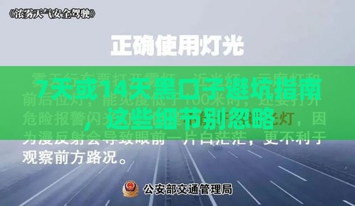 7天或14天黑口子避坑指南，这些细节别忽略