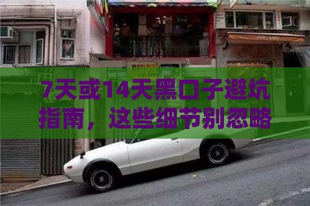 7天或14天黑口子避坑指南，这些细节别忽略