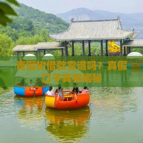 青铜树借款靠谱吗？真假口子真相揭秘