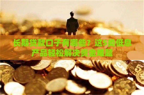 长期贷款口子有哪些？这5类低息产品轻松解决资金难题