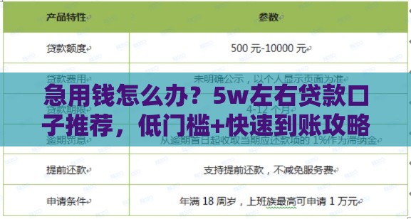 急用钱怎么办？5w左右贷款口子推荐，低门槛+快速到账攻略！