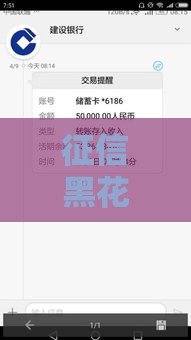 征信黑花了？贷款被拒咋办？手把手教你看懂记录！