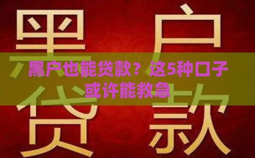 黑户也能贷款？这5种口子或许能救急
