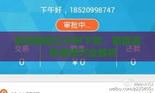 实测哪些口子好下款、额度高，申请技巧全解析