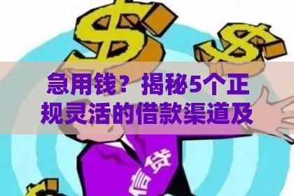 急用钱？揭秘5个正规灵活的借款渠道及避坑指南
