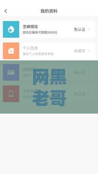 网黑老哥实测这5个口子还能下款