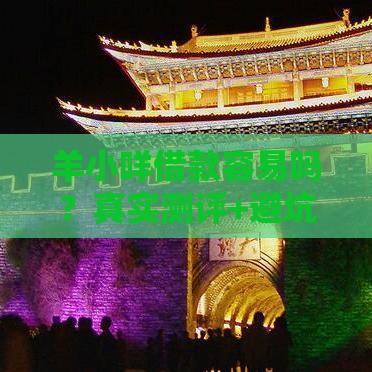 羊小咩借款容易吗？真实测评+避坑指南 这几个细节必须注意！