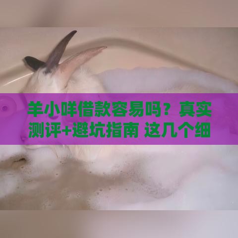 羊小咩借款容易吗？真实测评+避坑指南 这几个细节必须注意！