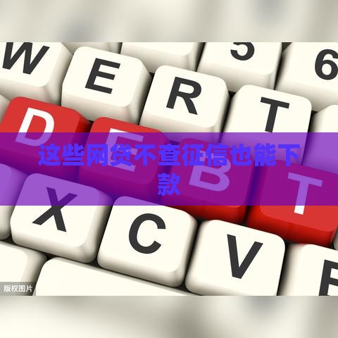 这些网贷不查征信也能下款