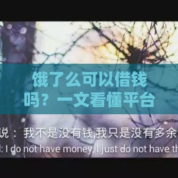 饿了么可以借钱吗？一文看懂平台贷款真相