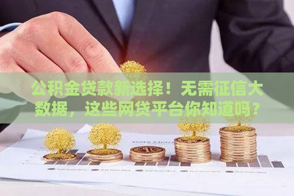 公积金贷款新选择！无需征信大数据，这些网贷平台你知道吗？