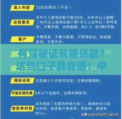 有驾驶证就能贷款？这些口子真靠谱！申请前必看攻略