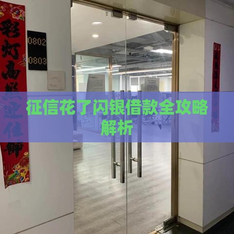 征信花了闪银借款全攻略解析