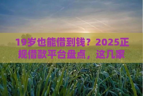 19岁也能借到钱？2025正规借款平台盘点，这几家真靠谱！