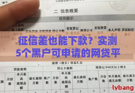 征信差也能下款？实测5个黑户可申请的网贷平台