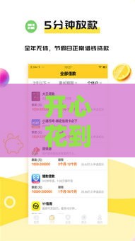 开心花到底属于哪个贷款系列？揭秘背后平台与申请技巧